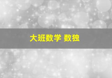 大班数学 数独